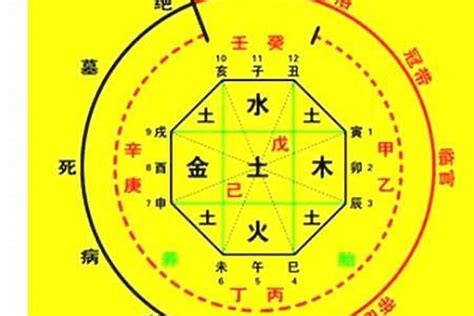 看命|生辰八字算命、五行喜用神查詢（免費測算）